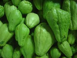 chayote chayotte Sechium edule