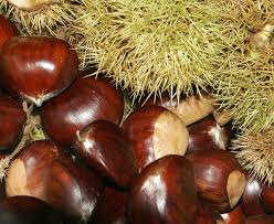 marrons