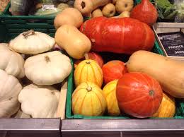 Courges diverses potiron citrouille etc