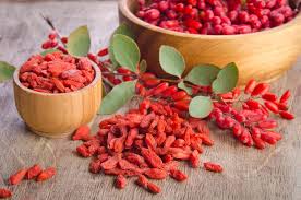Goji baies de goji