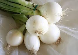 Oignon blanc